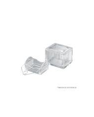 Cubeta de tincion. c/tapa y soporte de vidrio c/gancho metalico