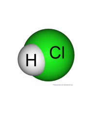 Acido clorhidrico PA nacional Lt.